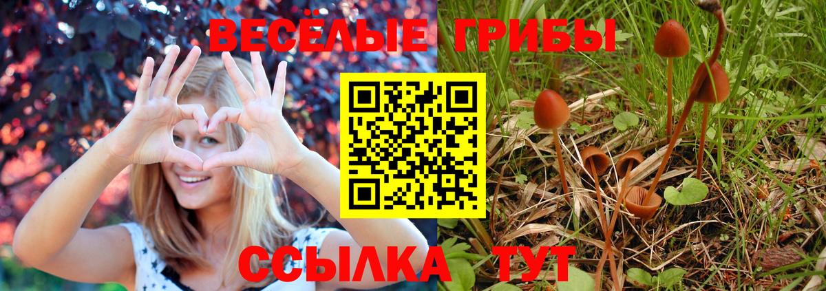 Усинск  Псилоцибиновые грибы MAGIC MUSHROOMS  Вход с VPN 